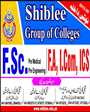 Shiblee College of Commerce & Science, Faisalabad
