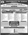Admission notice for University Of Sindh Jamshoro
