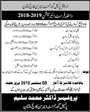 Admission notice for Govt Emerson College Multan